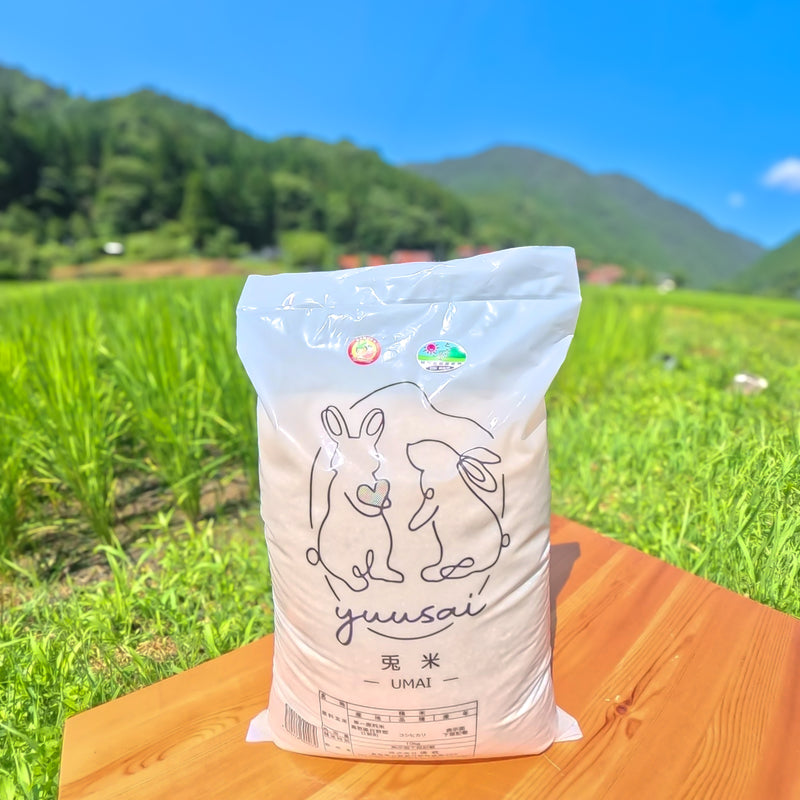 兎米 UMAI(うまい)10kg|優栽の特別栽培コシヒカリ(県認・令和7年産)