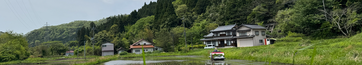 春の田植え