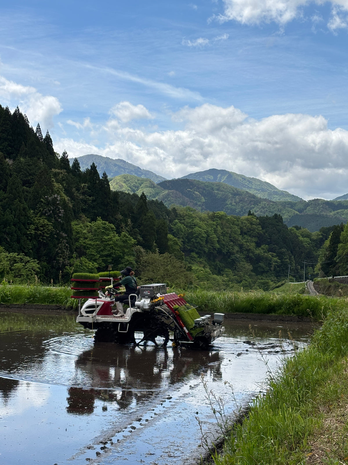 海と山を、一粒に結ぶ。