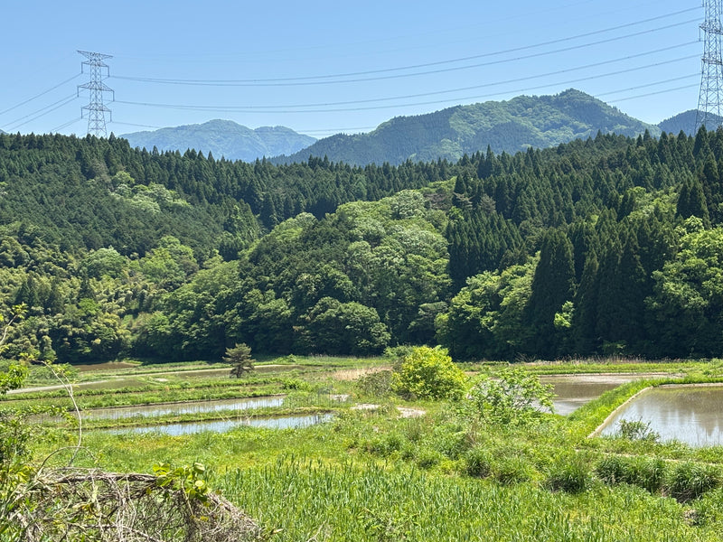 中山間棚田と支流の水